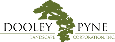 Dooley Pyne